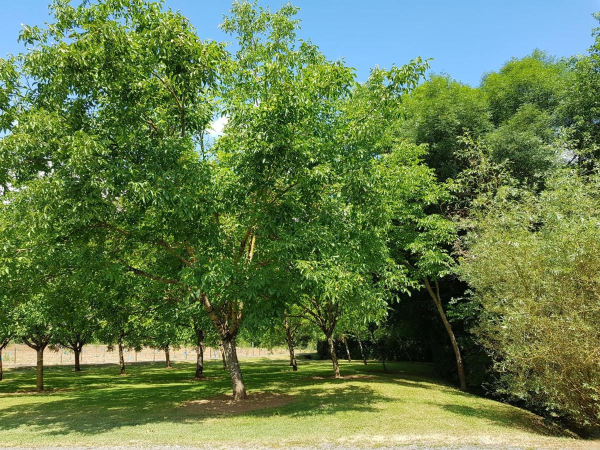 Bed and Breakfast Moulin Du Soustre Cavagnac Экстерьер фото